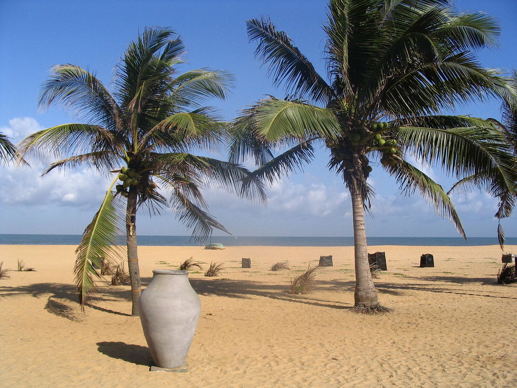 zandstrand met wuivende palmen aan de kust van sri lanka