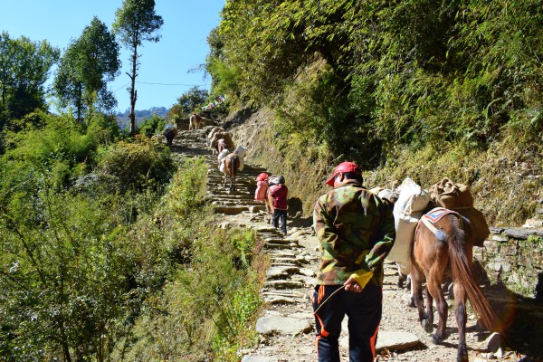 Punar trekking in Nepal