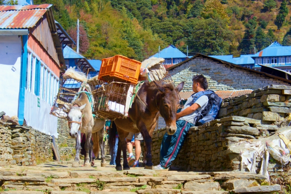 Stenen trap in Ghorepani, Nepal