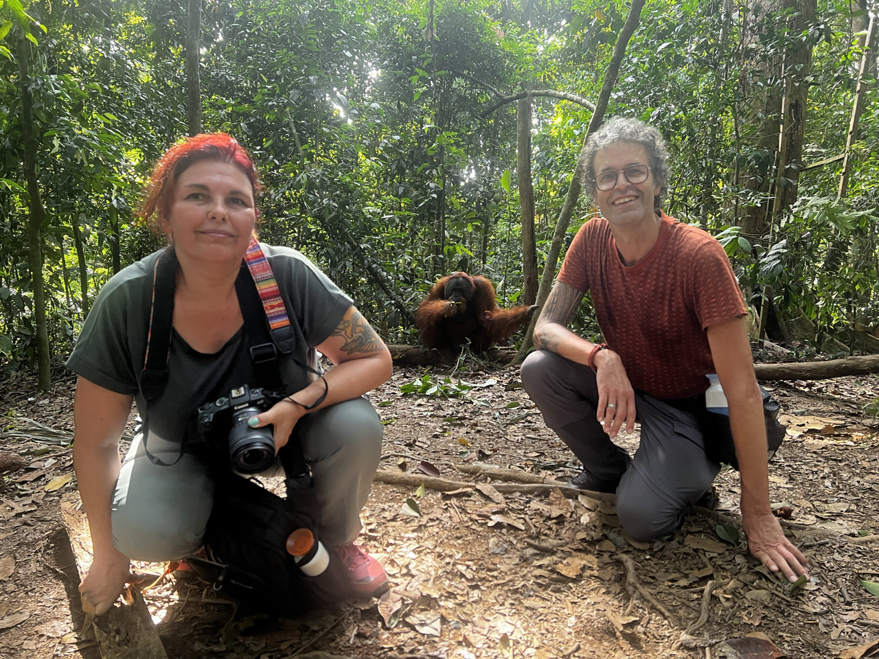 reizigers met camera poseren gehurkt bij orang oetan in bukit lawang, sumatra