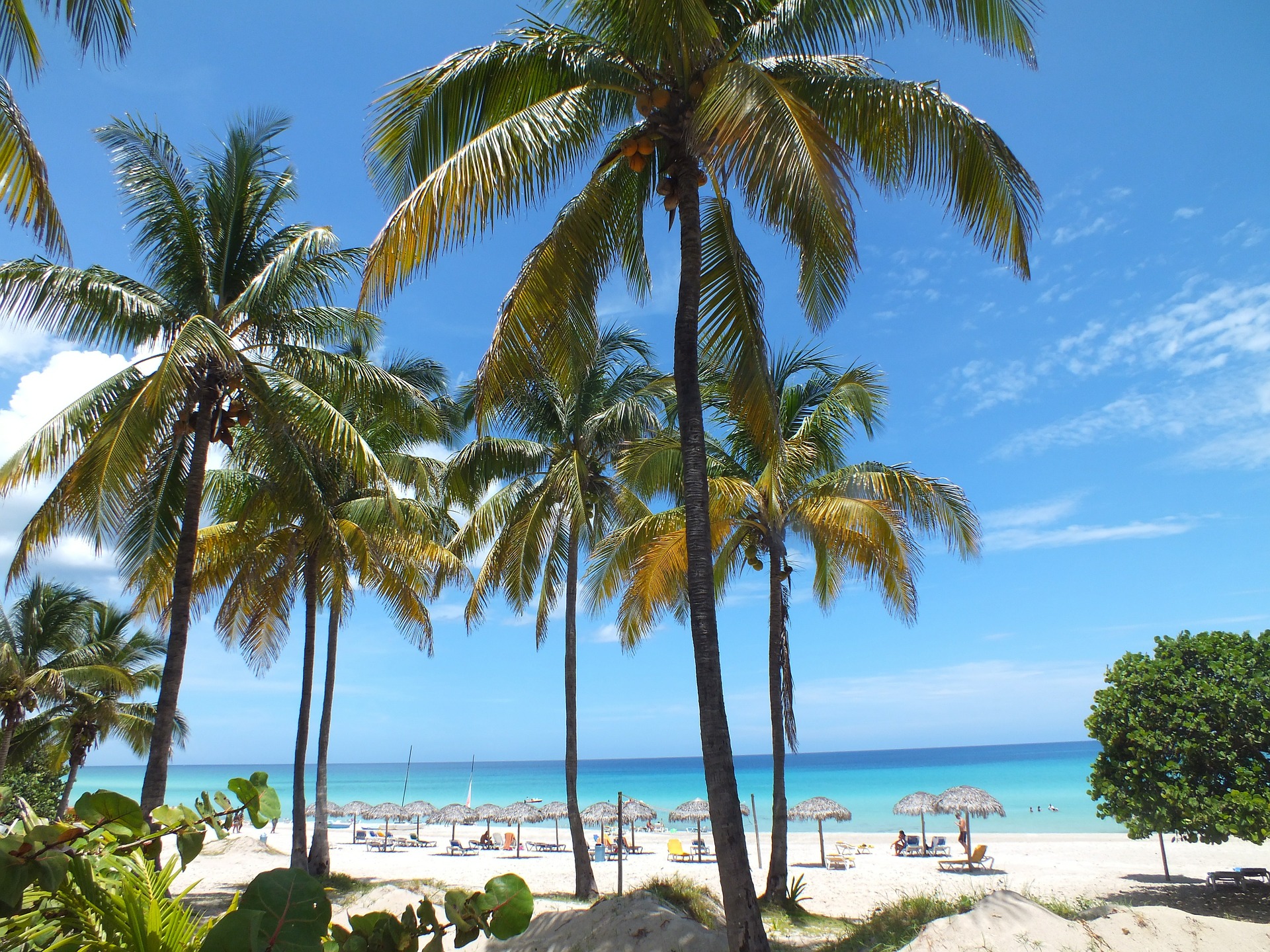 palmbomen op het strand met blauwe zee en parasols in mexico