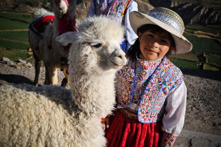 peruaans meisje in traditionele kleurrijke kleding samen met een lama
