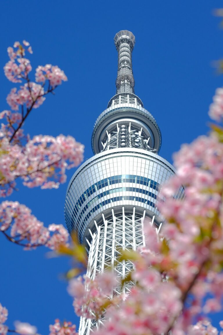 Tokyo's futuristische Skytree tussen roze bloesems en voor strakblauwe lucht