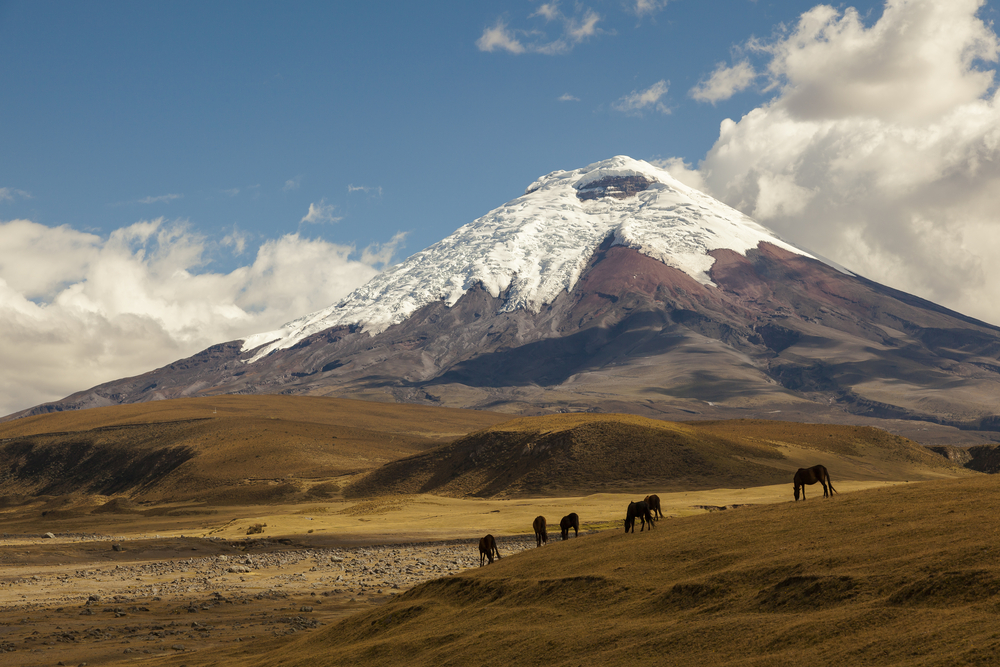 cotopaxi vulkaan in ecuador
