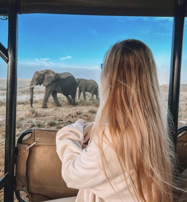 Meisje met blond lang haar zittend in een jeep en kijken naar twee olifanten op de achtergrond in Zuid-Afrika