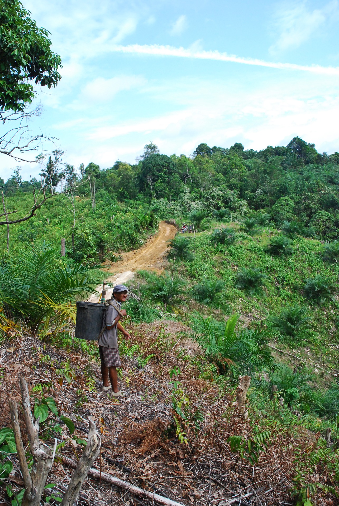 Sapulot in Borneo