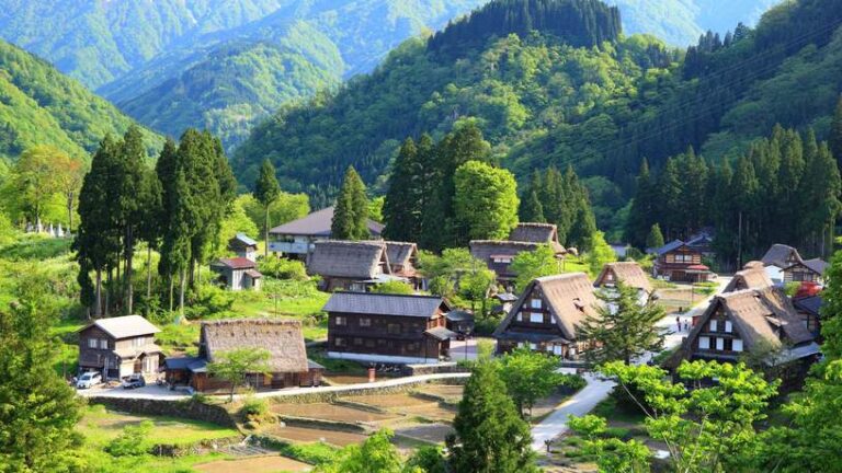 Het Shirikawago dal in de Japanse Alpen