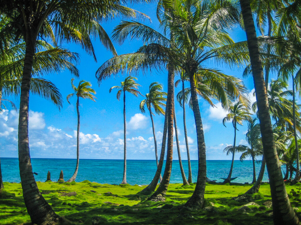 blauwe zee ne palmbomen in Nicaragua