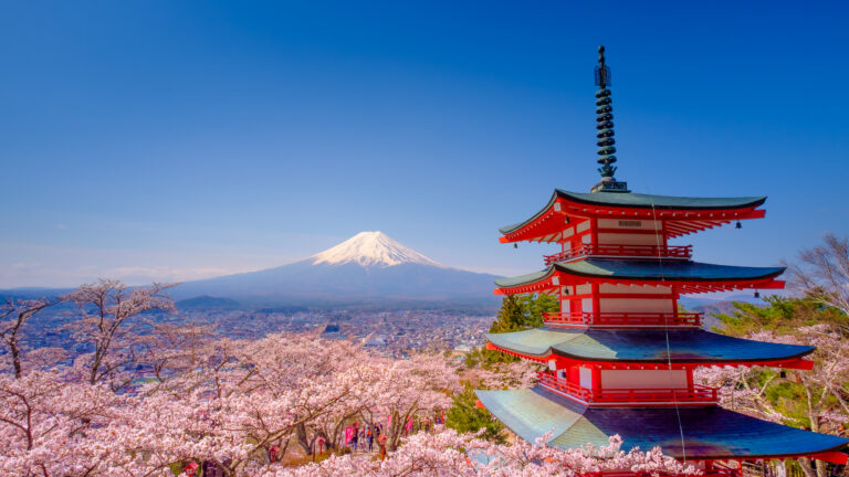 rode pagode omgeven door roze bloesems en daarachter de besneeuwde mount Fuji top
