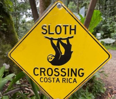 geel verkeersbord met luiaard waarschuwing costa rica