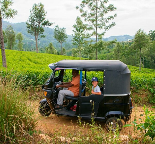 chauffeur en jochie zitten in tuk tuk tussen theevelden nuwara eliya