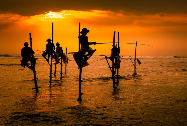 paalvissers sri lanka