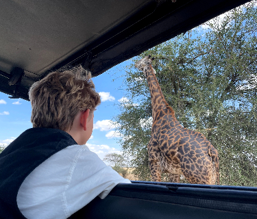 Jongen kijkt uit auto naar giraffe in Tanzania
