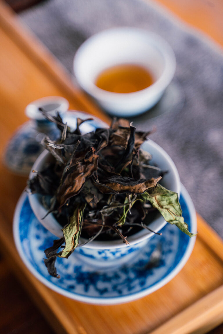 Tea tasting in Chiang Mai, Thailand