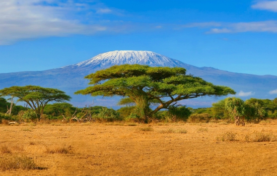 Uitzicht op de Kilimanjaro in Tanzania