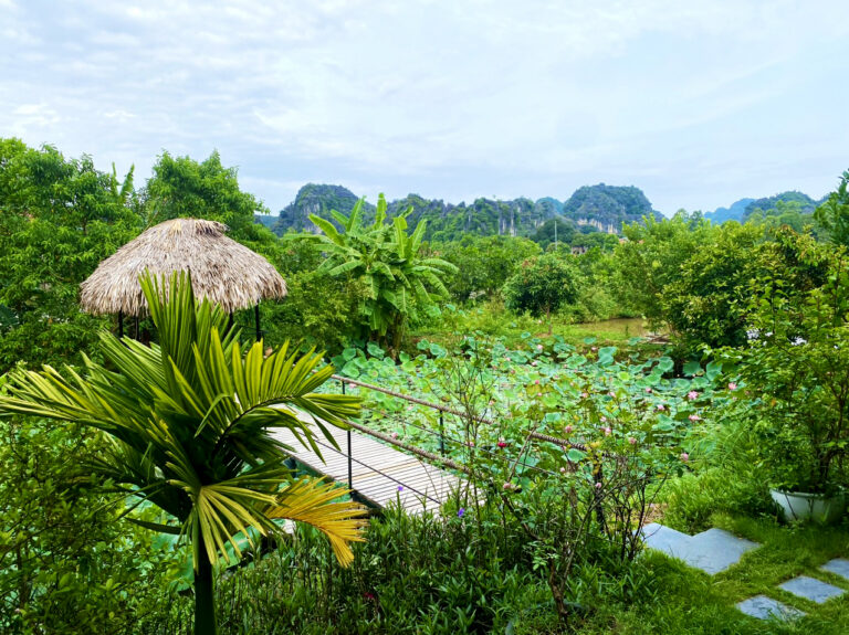 Tuin van je hotel Tam Coc
