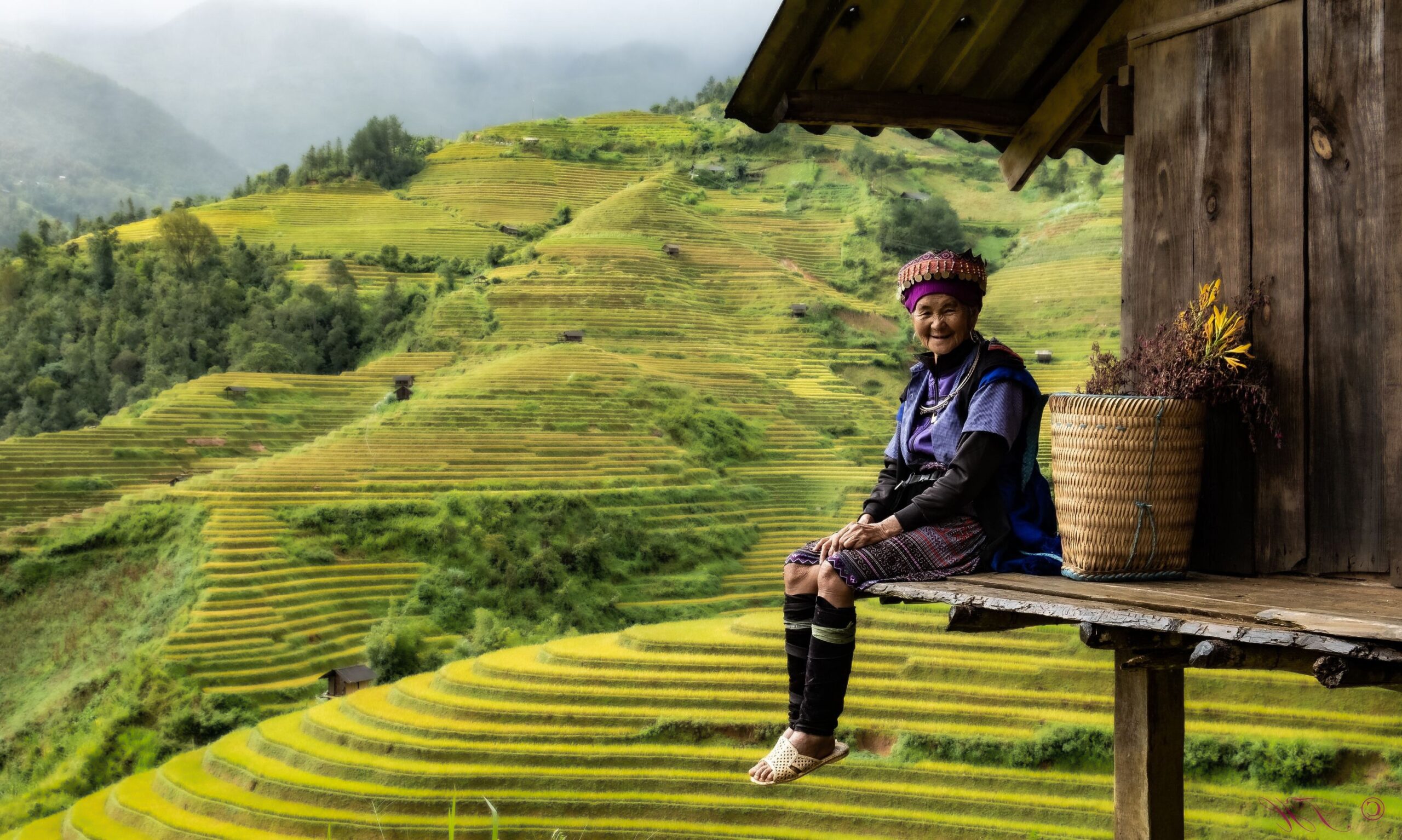 Vietnamese vrouw zit op het randje van haar houten hut middenin de rijstvelden