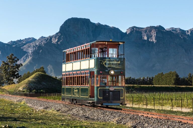 een wijntram staat missen in de wijnlanden