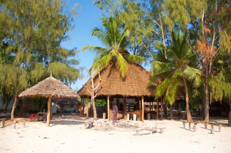 Strand op Zanzibar in Tanzania