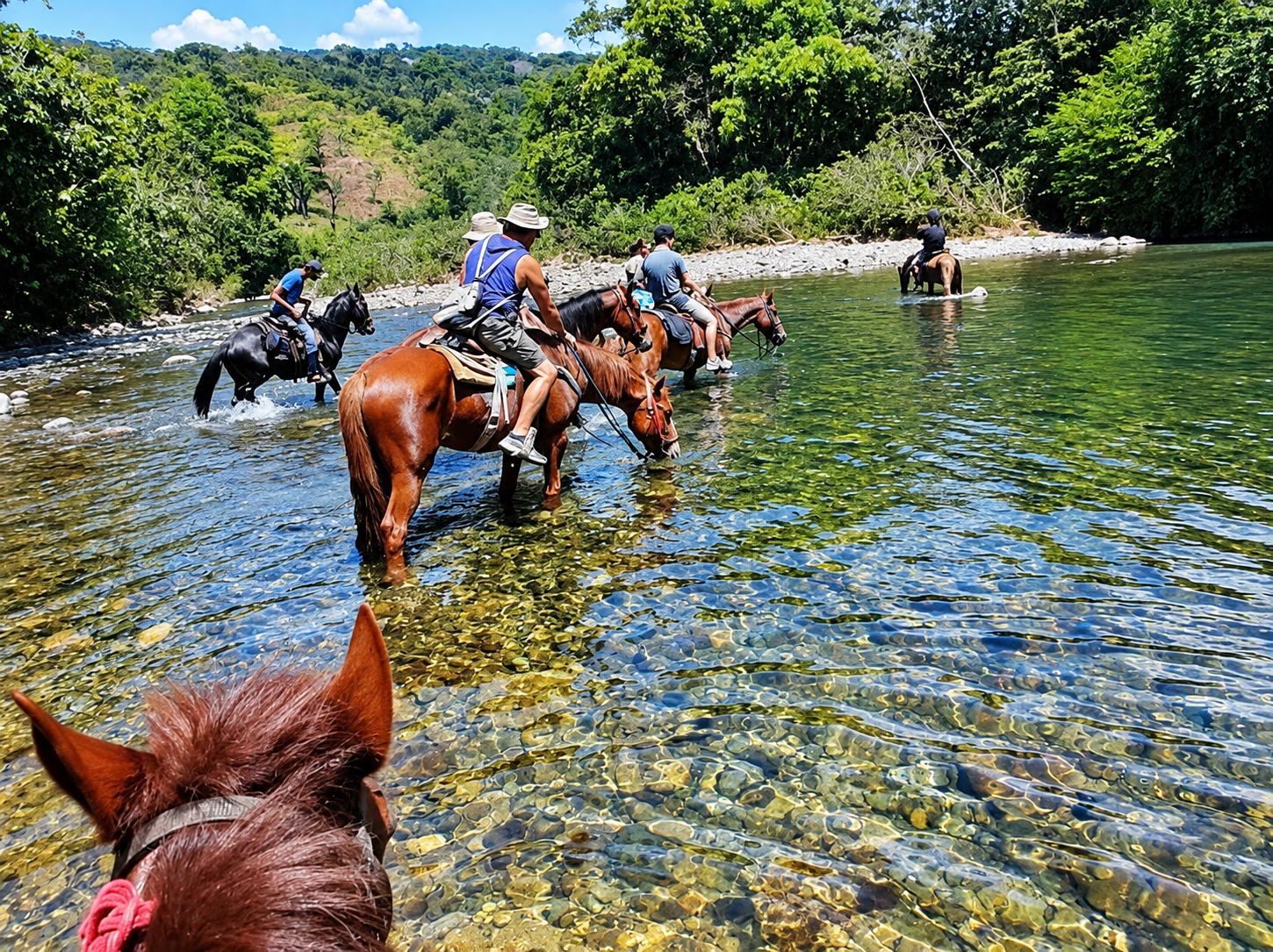 Reizigers te paard door rivier in Panama