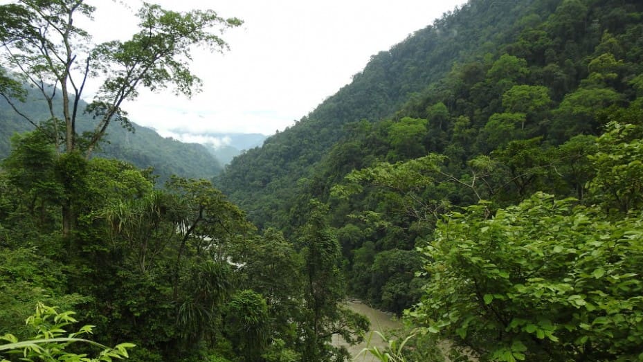 New road in Arunachal Pradesh to shorten travel distance by 25 km - at cost of a Biodiversity Hotspot