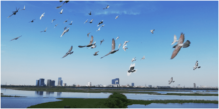 Is the lockdown really a boon for Delhi’s air?