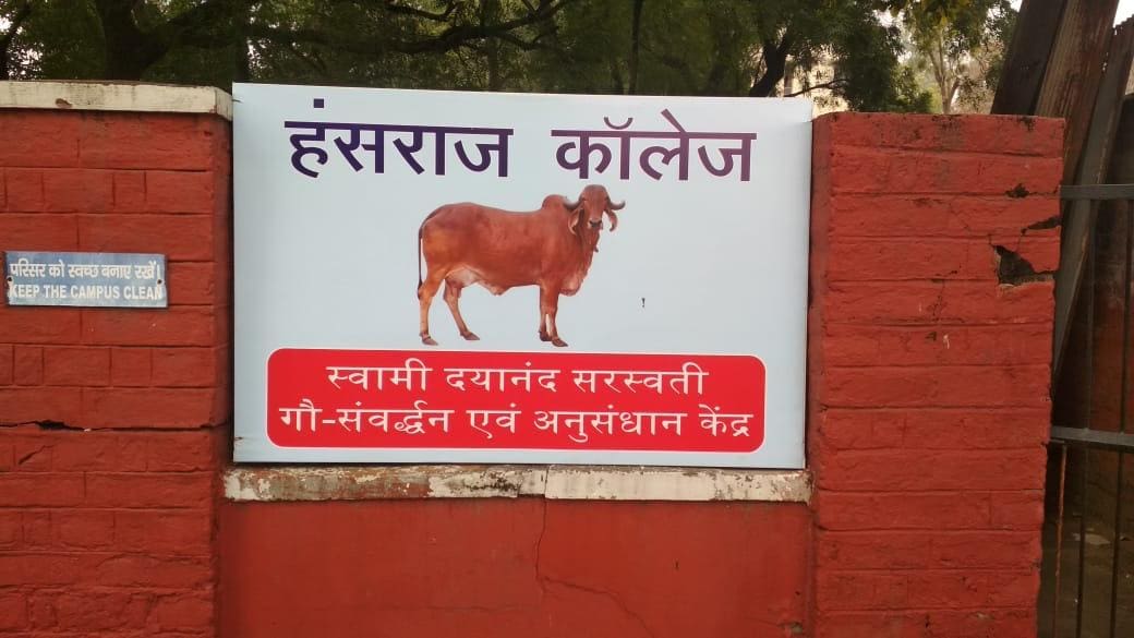 No stay for girls, but for cows; Delhi University college set up cow centre