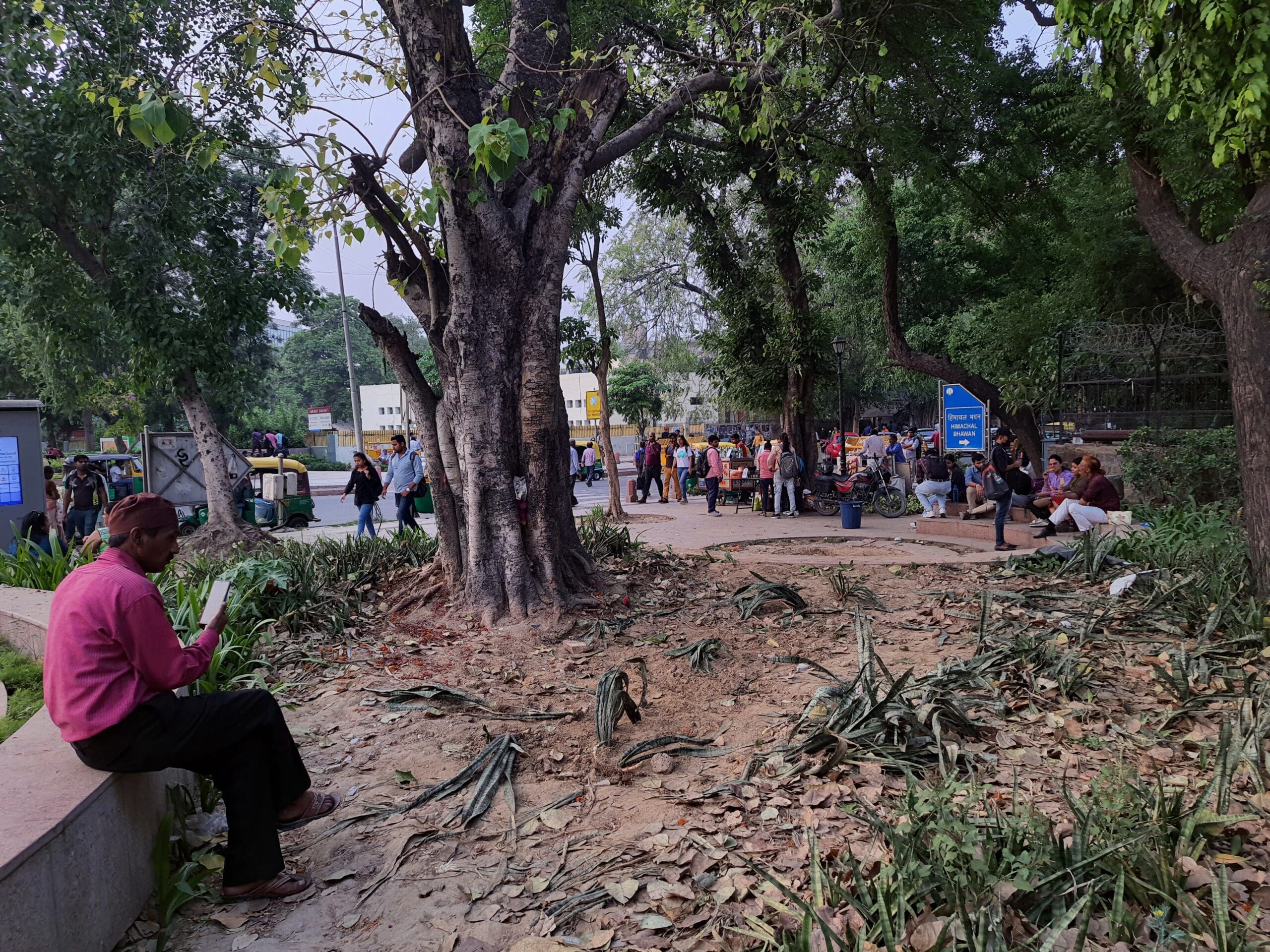 Delhi: Overnight demolition of Sufi shrine leaves caretaker, regular visitors in dismay