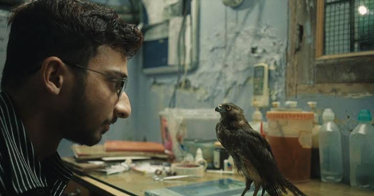 All That Breathes – A visual poem on Delhi’s kites and much more 