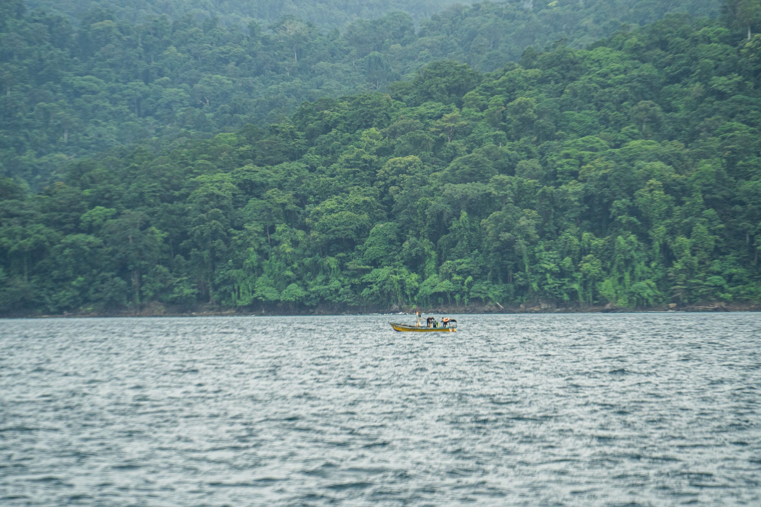 A global imperative to understand Great Nicobar Development Project