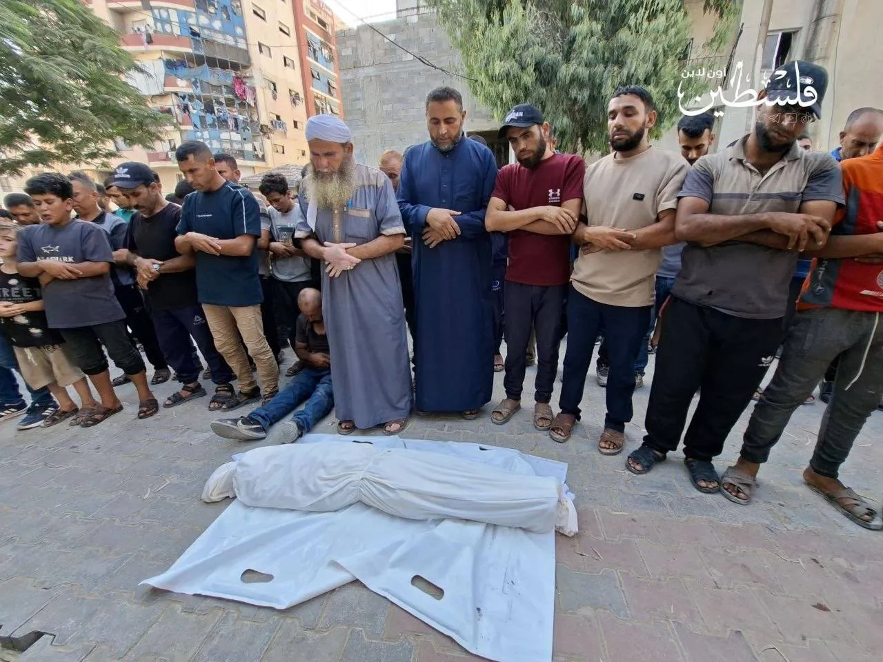 Israeli strikes kill at least 19 Palestinians in Gaza, including two children, despite Trump's ceasefire "breakthrough"