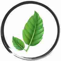 Botanical Remedies LLC