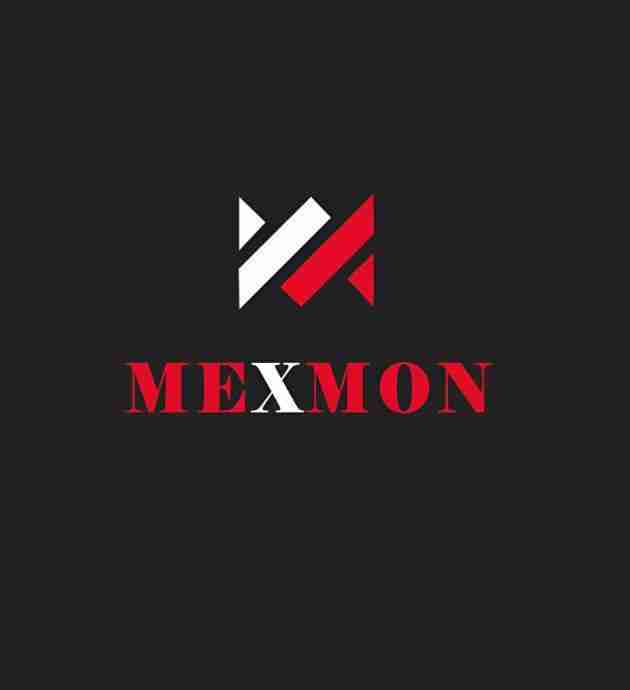 Mexmon Financials