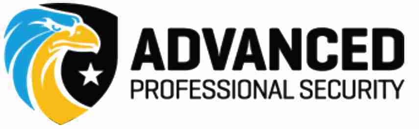 Advanced Professional Security