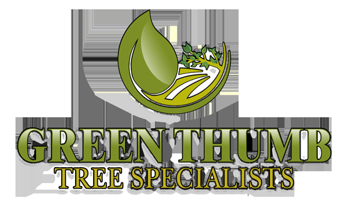 Green Thumb Tree Specialists Inc.