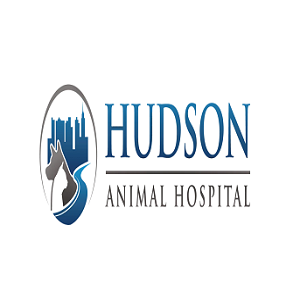 Hudson Animal Hospital