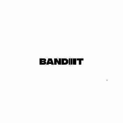 Bandit Bikes