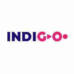 Indigo Education Group