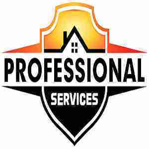 Professional Services