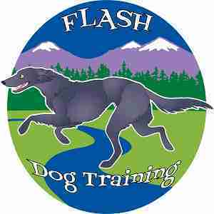 Flash Dog Training