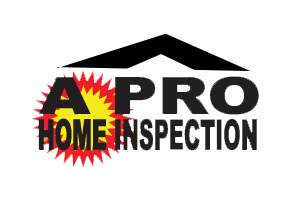 A Pro Inspects