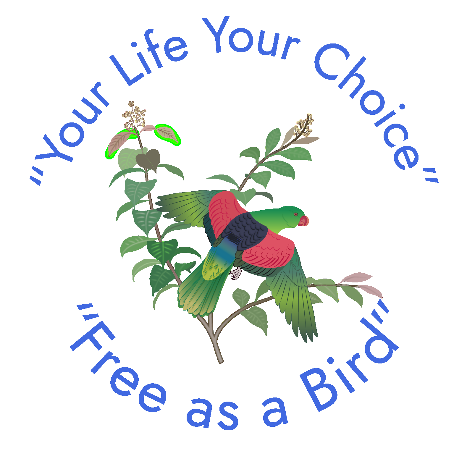 Admire Care Pty Ltd