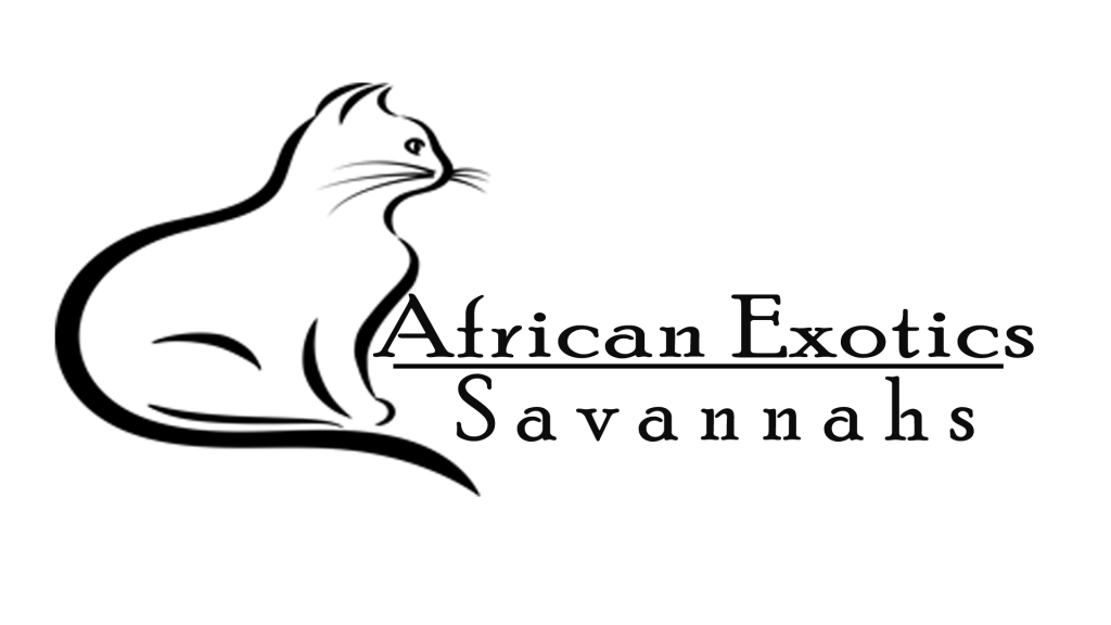 African Savannah