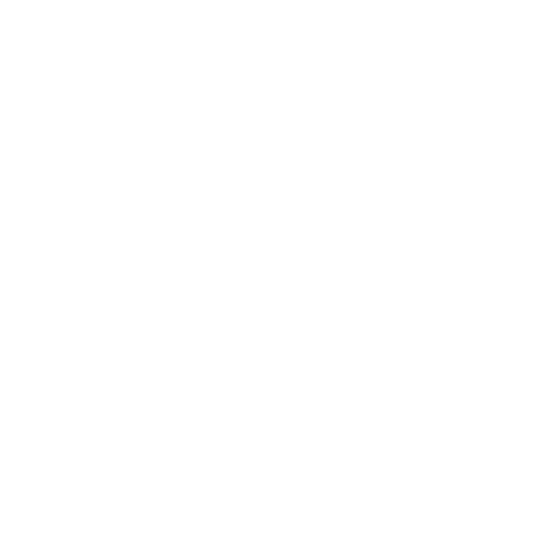 Big Apple Pest Control Inc