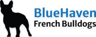 Bluehaven French Bulldogs
