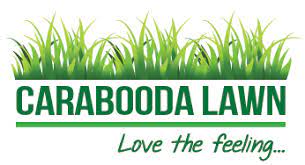 Carabooda Lawn