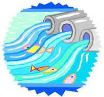 Cartier Environmental Services Inc.