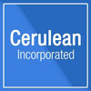 Cerulean Inc