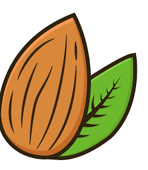 Dry Fruits AE