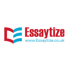 Essaytize